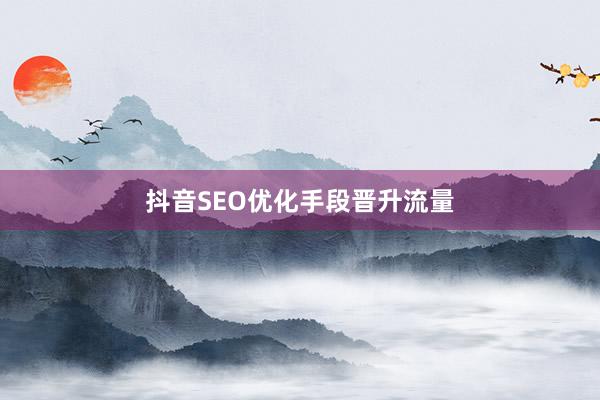 抖音SEO优化手段晋升流量