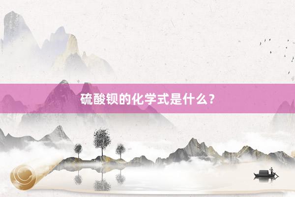 硫酸钡的化学式是什么？